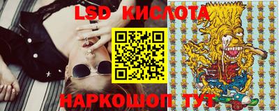 jwh Кингисепп
