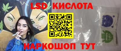 jwh Кингисепп