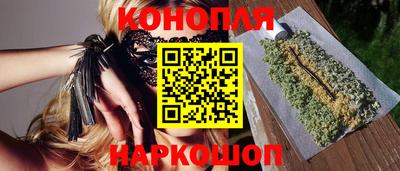 jwh Кингисепп