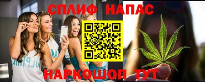 бошки Кинель