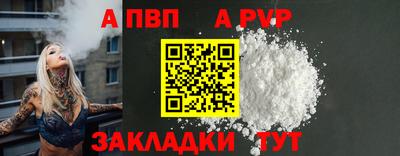jwh Кингисепп