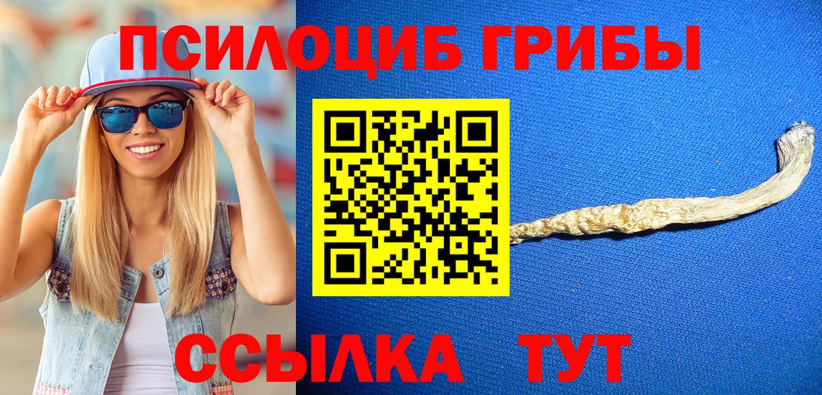 Кострома  Галлюциногенные грибы прущие грибы  Вход с VPN  Псилоцибиновые грибы MAGIC MUSHROOMS 